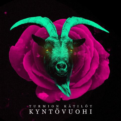 Kyntövuohi