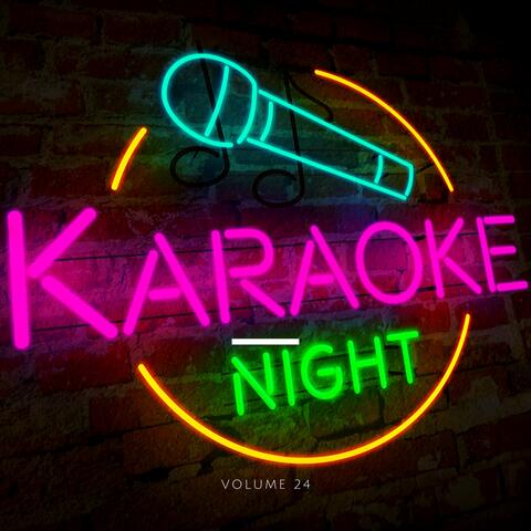 Karaoke Night, Vol. 24