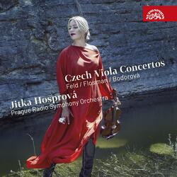 Concerto for Viola and Orchestra: No. 2, Allegro con spirito