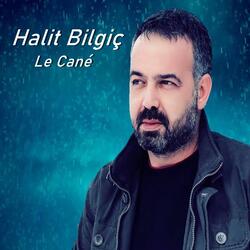 Le Cané