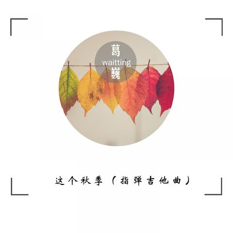 这个秋季