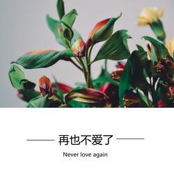 再也不爱了