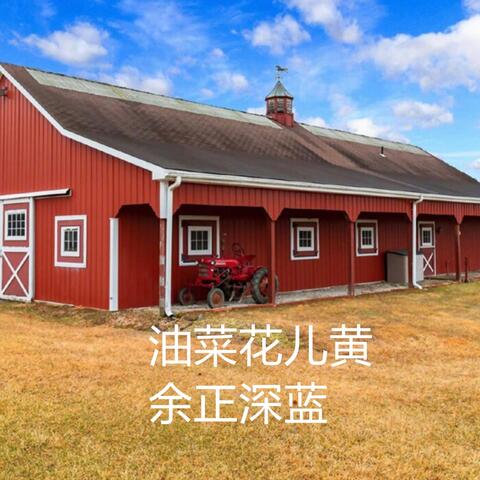油菜花儿黄