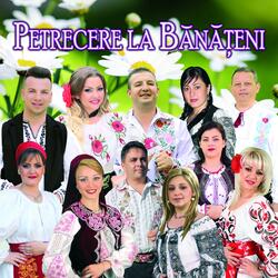 Cace Zale-S Intr-Un An