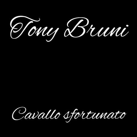 Cavallo sfortunato