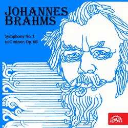Symphony No. 1 in C-Sharp Minor, Op. 68, .: II. Andante sostenuto