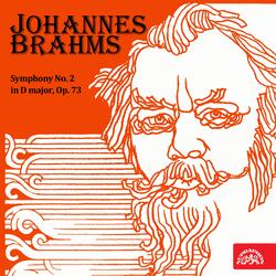 Symphony No. 2 in D Major, Op. 73: I. Allegro non troppo