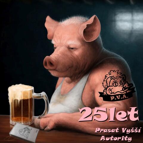 25 let prasat vyšší autority