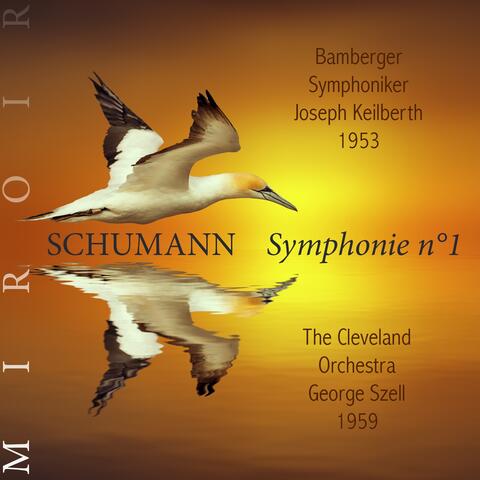 Schumann : symphonie n°1, Le Printemps