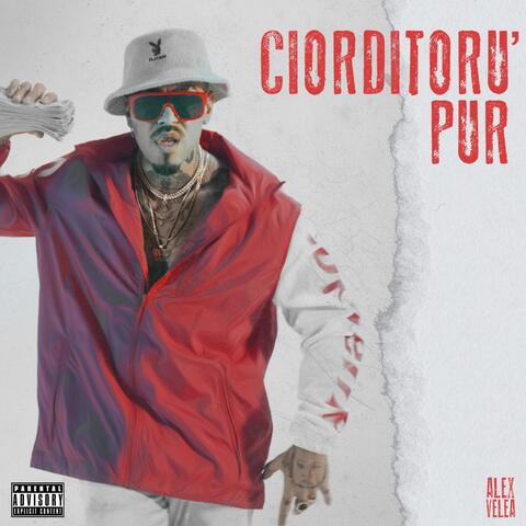Ciorditoru' Pur