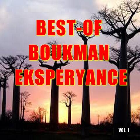 Boukman eksperyans