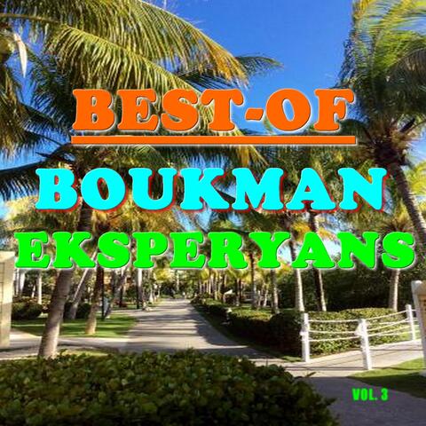 Best-of boukman eksperyans