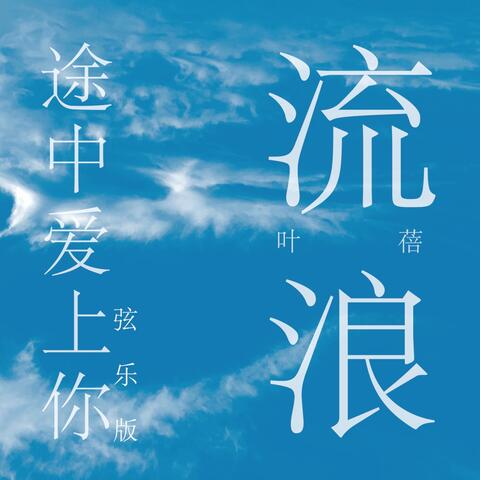 流浪途中爱上你