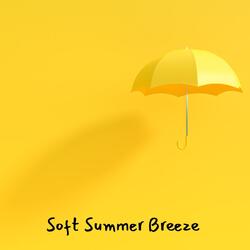 Soft Summer Breeze