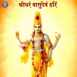 Aaj Biraj Me