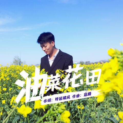 油菜花田