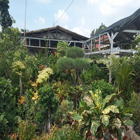 Anak Riau