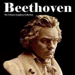 Symphony No. 3 in E Flat Major Eroica, Op. 55 - III. Scherzo Allegro vivace