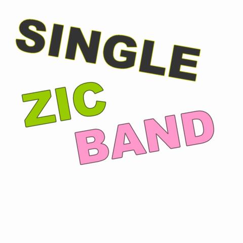 Single Zic Band