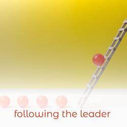 Following the Leader