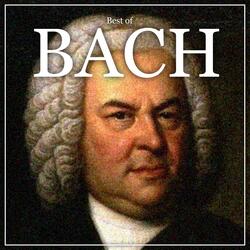 Brandenburg Concerto no. 1 2C BWV. 1046 / II. Adagio / III. Allegro in F Major