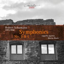 Symphony No. 1 in B-Flat Major, Op. 38 "Die Frühlingssinfonie": III. Scherzo