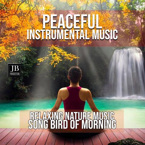 Peaceful Instrumental Music