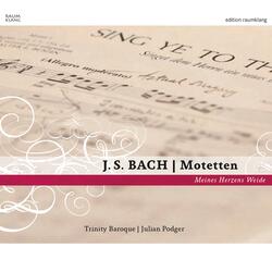 Meine Seele erhebt den Herren, BWV 733