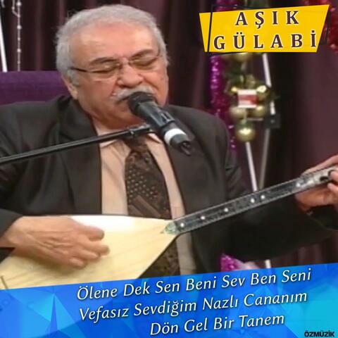Ölene Dek Sen Beni Sev Ben Seni / Vefasız Sevdiğim Nazlı Cananım / Dön Gel Bir Tanem