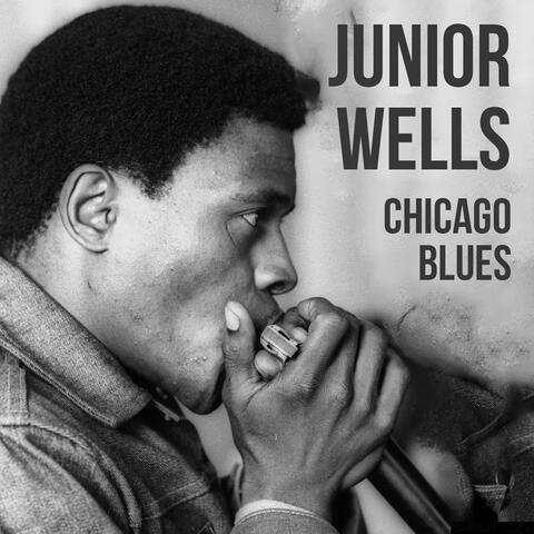 Junior Wells, Chicago Blues