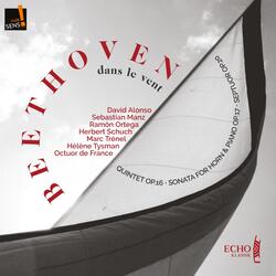Sonata for Horn and Piano, Op. 17: No. 3 in F Major, Rondo. Allegro moderato