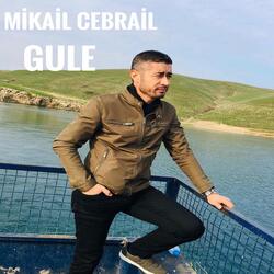 Benim Olaydın