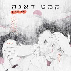 לא מה שהבטיחו לך