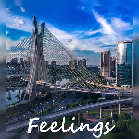 Feelings