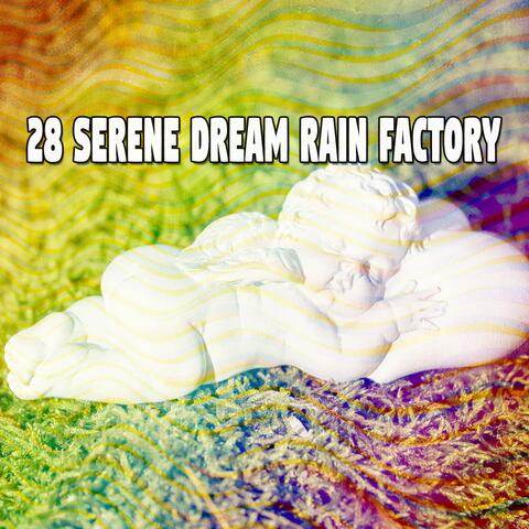 28 Serene Dream Rain Factory