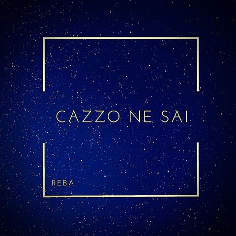 Cazzo Ne Sai