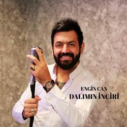 Dalımın İnciri
