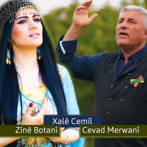 Xalê Cemîl