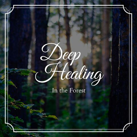 Deep Healing - In the Forest
