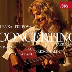 Violin Concerto in D Major, RV 209: I. Allegro