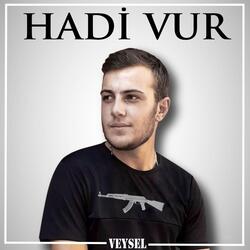 Hadi Vur