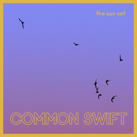 Common Swift