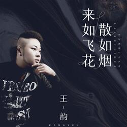 来如飞花散如烟