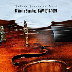 Sonata I for Violin and Harpsichord - I. Adagio in B Minor