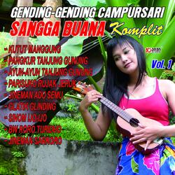 Parisuko Rujak Jeruk