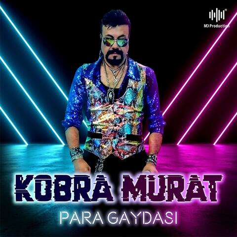 Para Gaydası