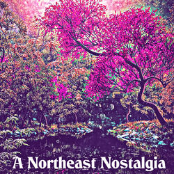 A Northeast Nostalgia