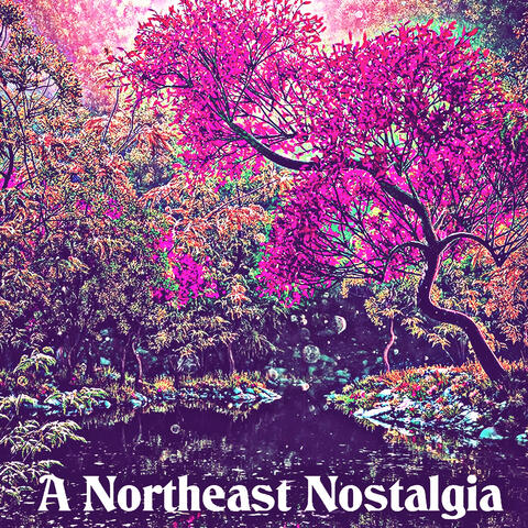 A Northeast Nostalgia