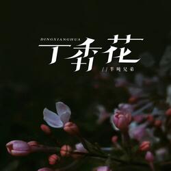 丁香花