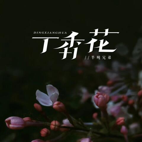 丁香花